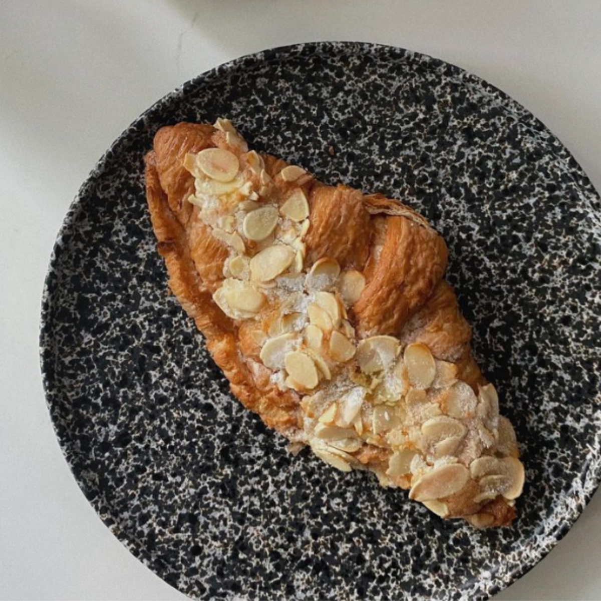 Dapple Speckle 8.3" Plate (Stone Grey)